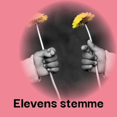 Elevens stemme