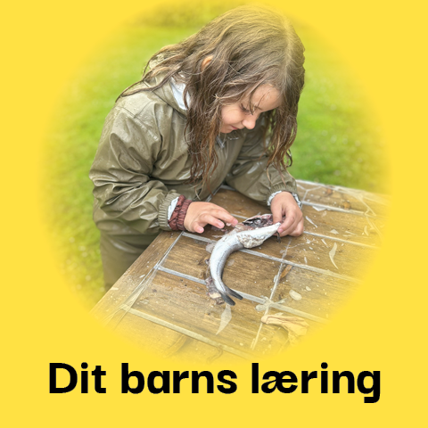 Dit barns læring