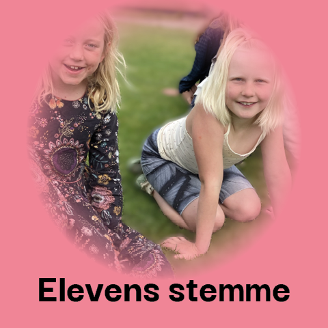 Elevens stemme